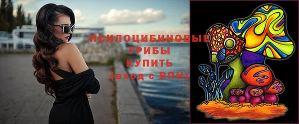 прущий лед Армянск