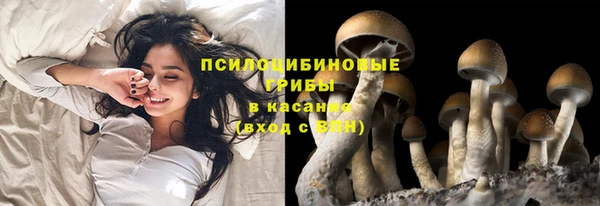 прущий лед Армянск