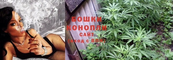 гидра Аркадак