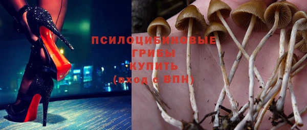 гидра Аркадак
