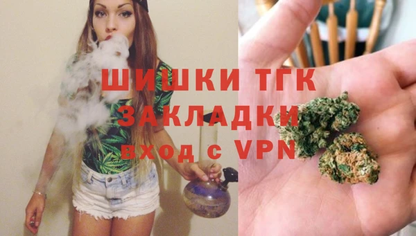 гидра Аркадак