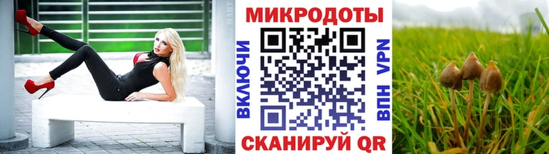 Галлюциногенные грибы GOLDEN TEACHER  Протвино 