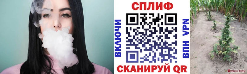 Каннабис MAZAR  Протвино 